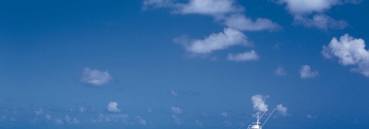 Upcoming Cyberpunk Game